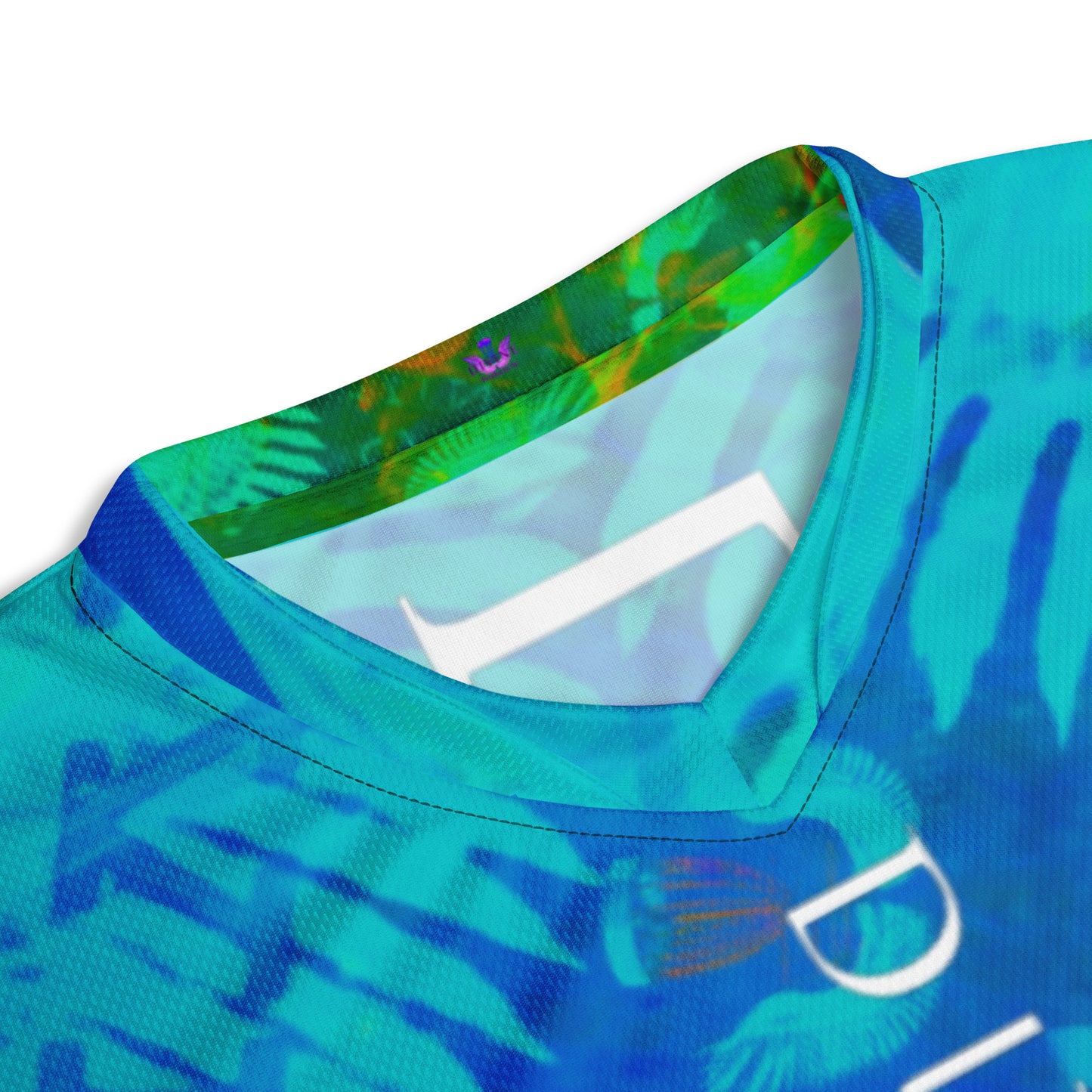 Divine Disc Golf Tournament jersey Blue/green