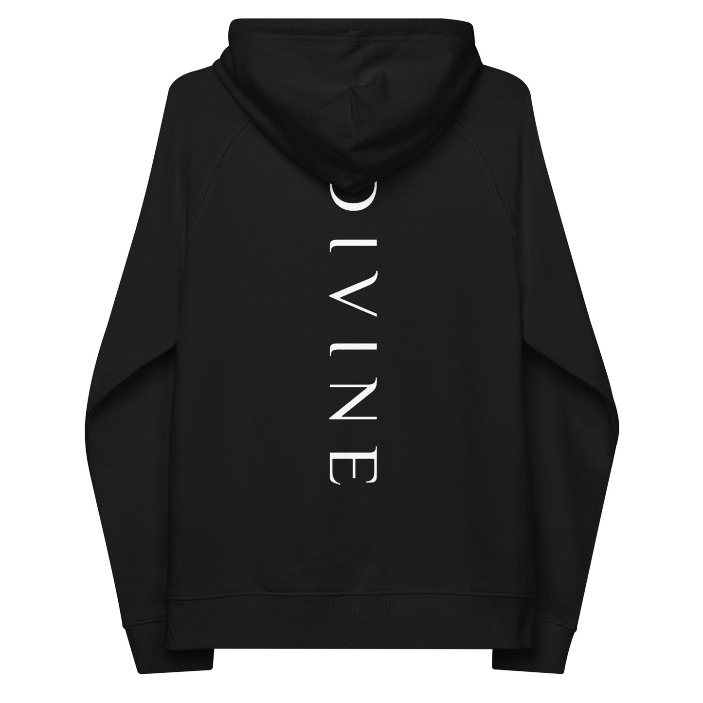 Divine Unisex eco raglan hoodie